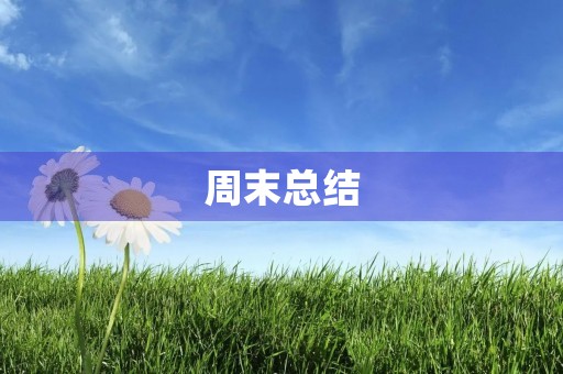 周末总结