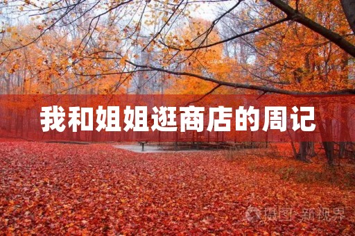 我和姐姐逛商店的周记 我和姐姐逛商店的周记