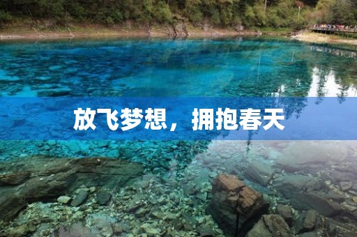 放飞梦想,拥抱春天 放飞梦想,拥抱春天