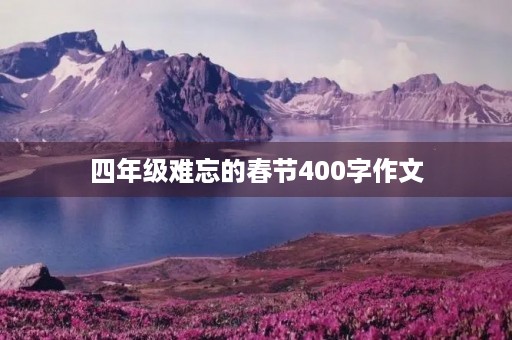 四年级难忘的春节400字作文 四年级难忘的春节400字作文