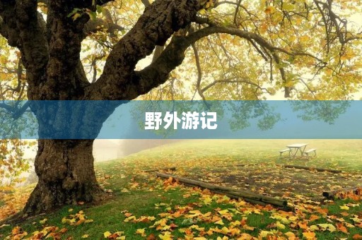 野外游记 野外游记