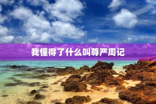 我懂得了什么叫尊严周记 我懂得了什么叫尊严周记