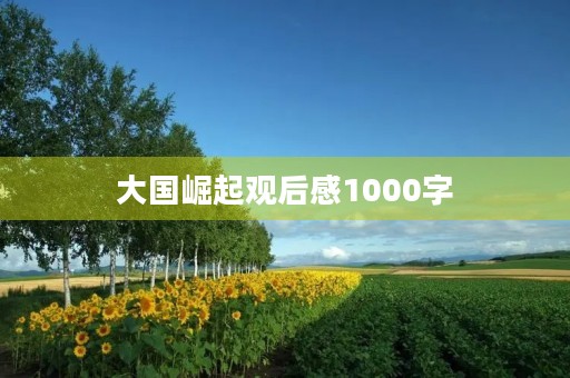 大国崛起观后感1000字 大国崛起观后感1000字