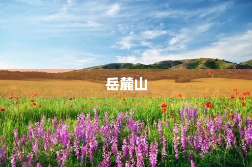 岳麓山 岳麓山