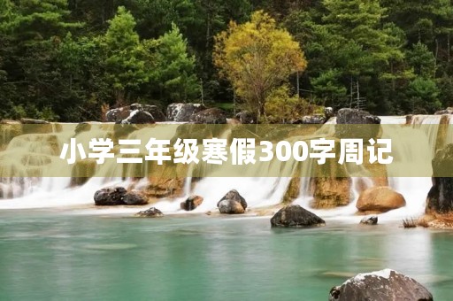 小学三年级寒假300字周记 小学三年级寒假300字周记