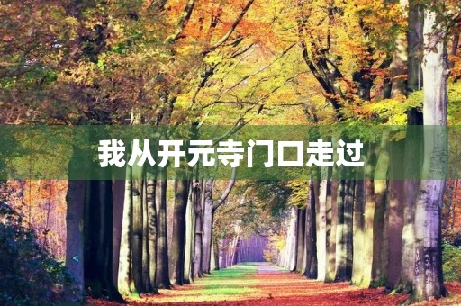 我从开元寺门口走过
