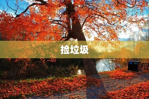 捡垃圾 捡垃圾