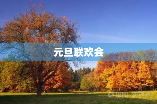 元旦联欢会 元旦联欢会