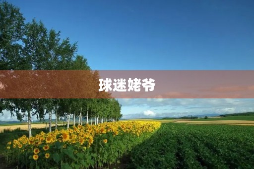 球迷姥爷 球迷姥爷
