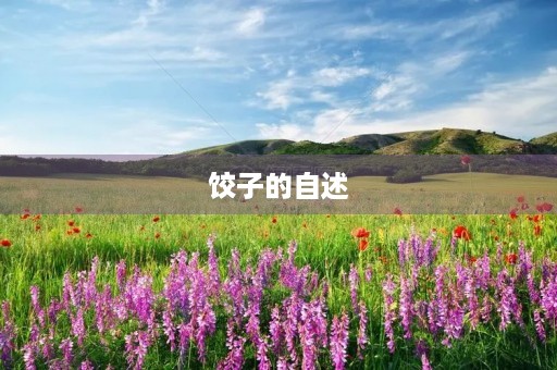 饺子的自述