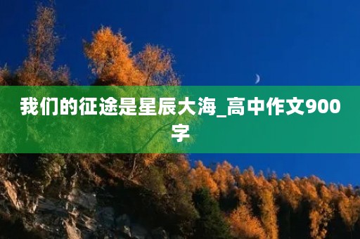 我们的征途是星辰大海_高中作文900字