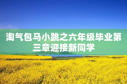 淘气包马小跳之六年级毕业第三章迎接新同学
