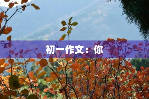 初一作文:你 初一作文:你