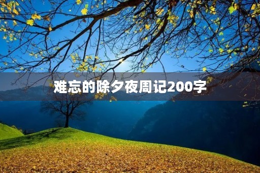 难忘的除夕夜周记200字