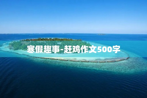 寒假趣事-赶鸡作文500字