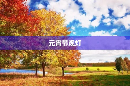 元宵节观灯