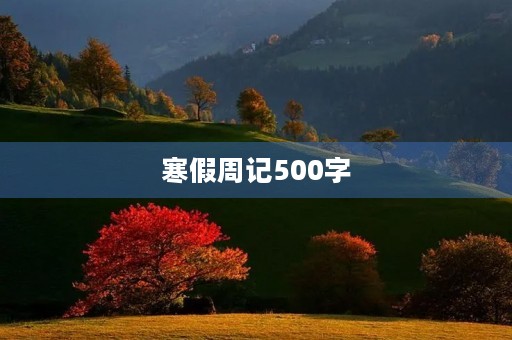 寒假周记500字 寒假周记500字