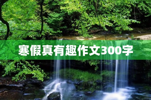 寒假真有趣作文300字