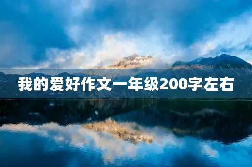 我的爱好作文一年级200字左右