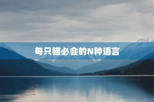 每只猫必会的N种语言