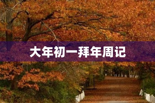 大年初一拜年周记