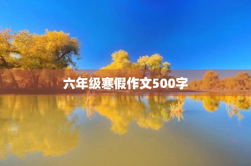 六年级寒假作文500字 六年级寒假作文500字