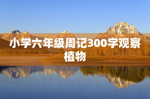 小学六年级周记300字观察植物 小学六年级周记300字观察植物