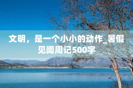 文明，是一个小小的动作_暑假见闻周记500字