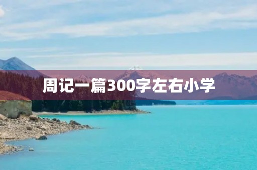 周记一篇300字左右小学