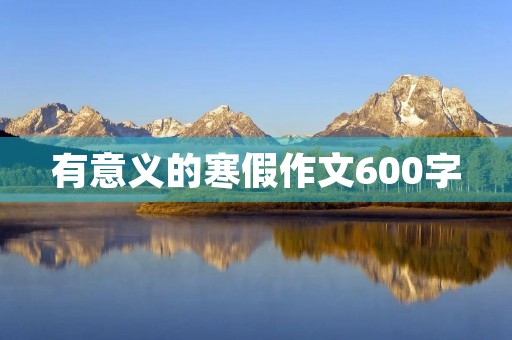 有意义的寒假作文600字