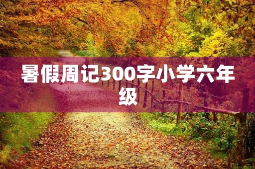 暑假周记300字小学六年级 暑假周记300字小学六年级