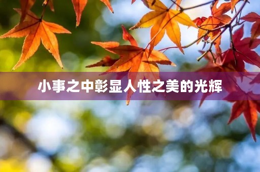 小事之中彰显人性之美的光辉