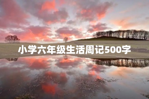 小学六年级生活周记500字 小学六年级生活周记500字