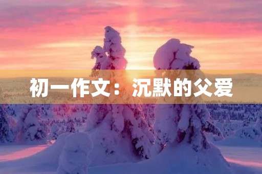 初一作文:沉默的父爱 初一作文:沉默的父爱