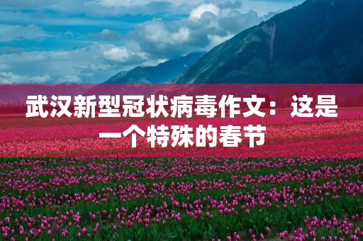 武汉新型冠状病毒作文：这是一个特殊的春节