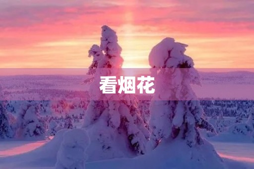 看烟花 看烟花