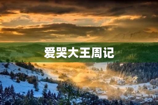 爱哭大王周记 爱哭大王周记