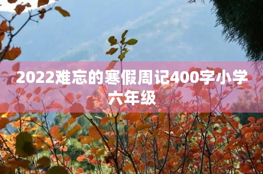 2022难忘的寒假周记400字小学六年级 2022难忘的寒假周记400字小学六年级