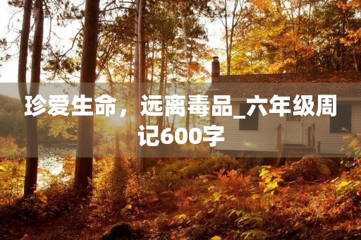 珍爱生命，远离毒品_六年级周记600字