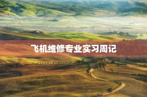 飞机维修专业实习周记