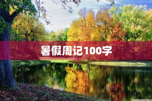 暑假周记100字