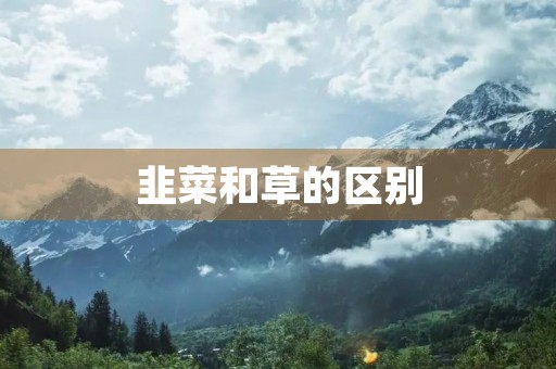 韭菜和草的区别 韭菜和草的区别