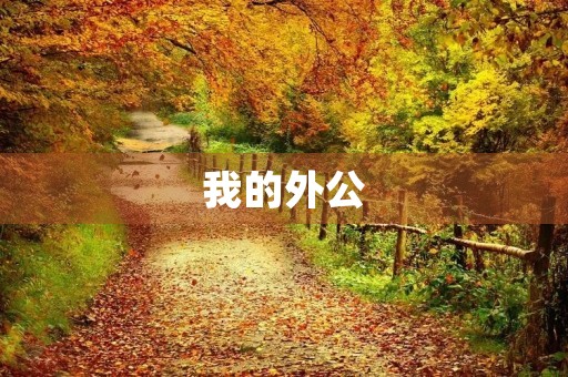 我的外公