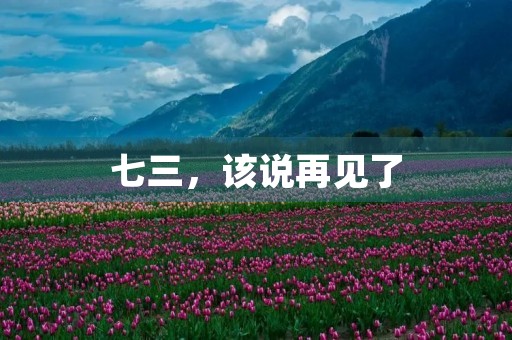 七三，该说再见了