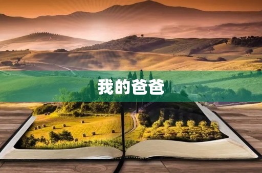 我的爸爸 我的爸爸