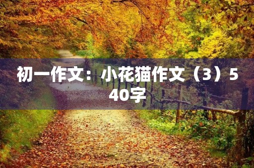 初一作文：小花猫作文（3）540字
