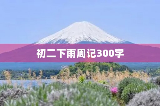 初二下雨周记300字 初二下雨周记300字