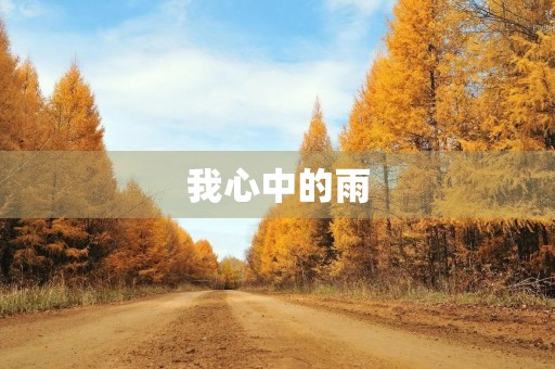 我心中的雨 我心中的雨