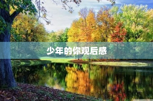 少年的你观后感 少年的你观后感