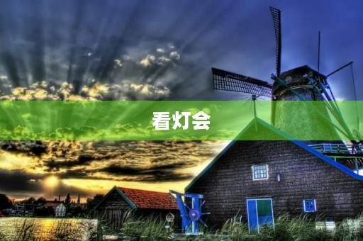 看灯会